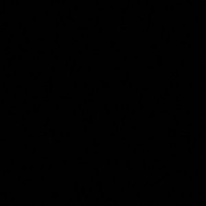 Meet your Posher, Nisha